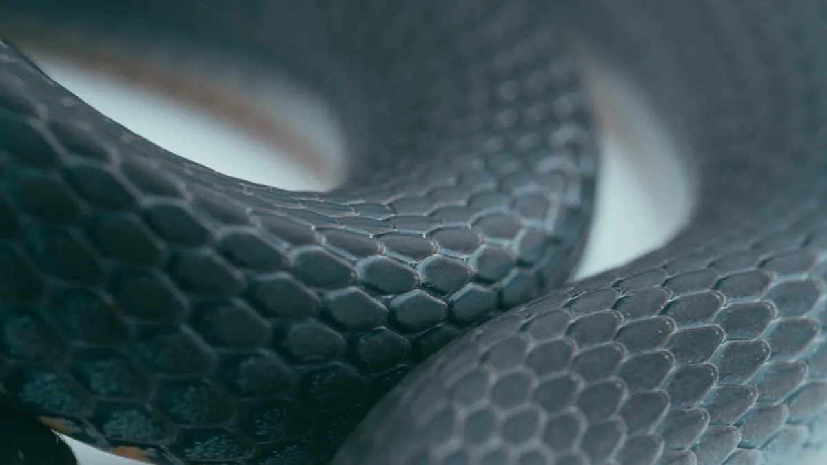 Snake — Islamic illustration (animal)